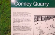 Comley Quarry Info Board