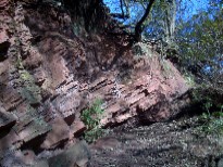 Carboniferous sandstone quarry face? on the Trans Pennine Trail, Tameside