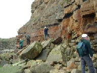 Members of the group inspect the cliffs at Cloughton Wyke